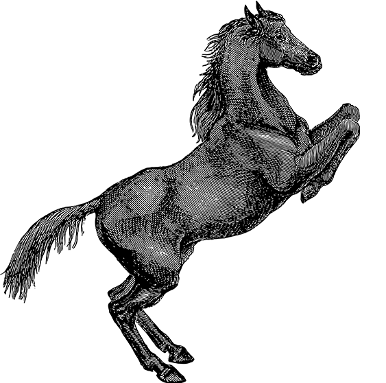 爱体育